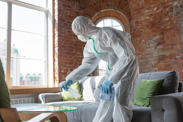 Best Attic Mold Removal  in Peotone, IL