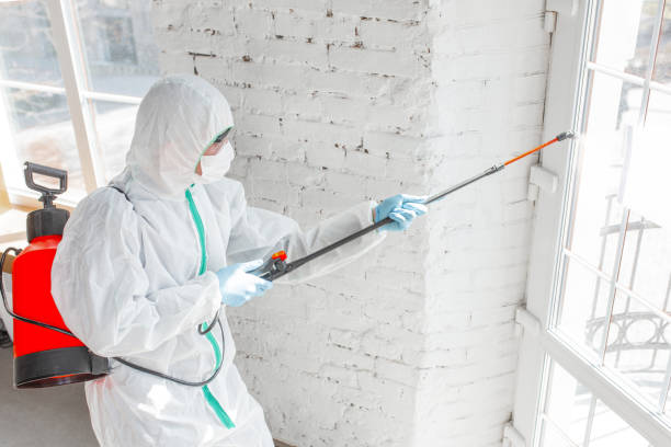 Best Residential Mold Inspection & Testing  in Peotone, IL