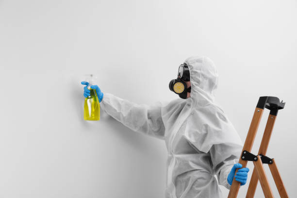 Best Commercial Mold Inspection  in Peotone, IL